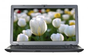 TOSHIBA C55D-B5102 A8-6410 4GB 15,6\" HD 1000GB Radeon R5 Win8.1 Czarny 1Y