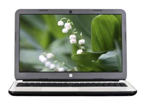 HP 15-G274NR A6-5200 4GB 15,6\ HD 500GB Radeon HD 8400 Win8.1 Biały 2Y