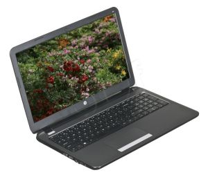 HP 250 G3 i5-4210U 4GB 15,6\ HD 500GB HD4400 Win8.1P Czarny G6V85EA 1Y